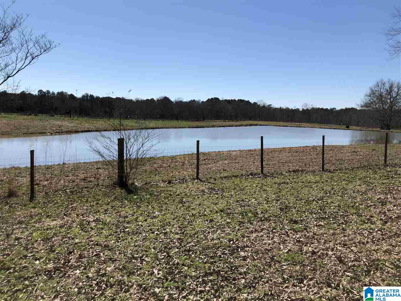 609 Cobb Brazeel Road Trafford, AL 35172 - Photo 41 of 42