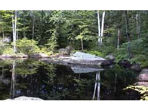 L105 Warner Road Henniker, NH 03242 - Photo 2 of 4 Gallery Image 2