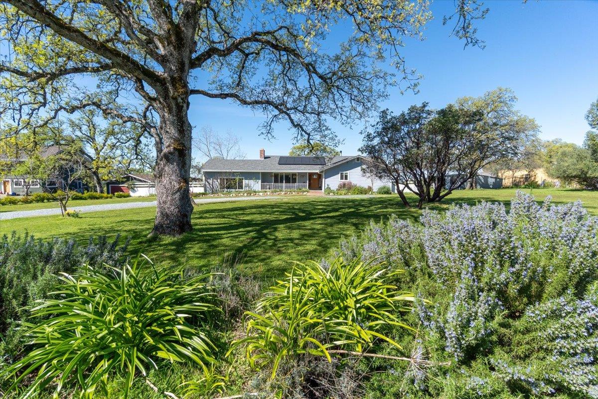 6980 Crystal Boulevard El Dorado, CA 95623 - Photo 24 of 49 a front view of a house with a yard