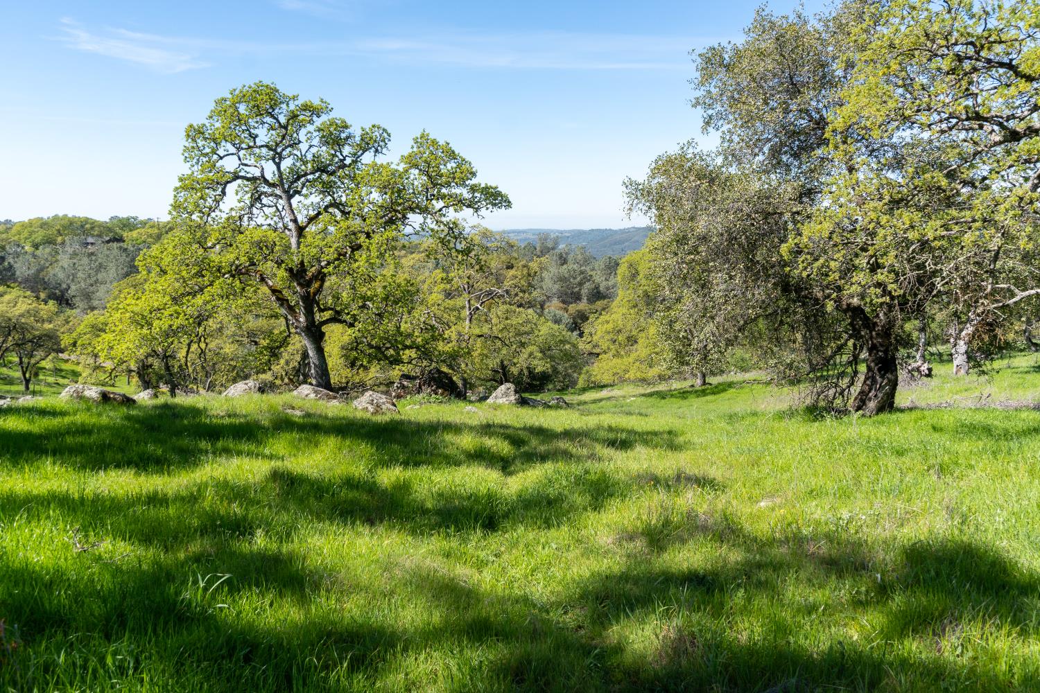 6980 Crystal Boulevard El Dorado, CA 95623 - Photo 9 of 49 a view of a garden