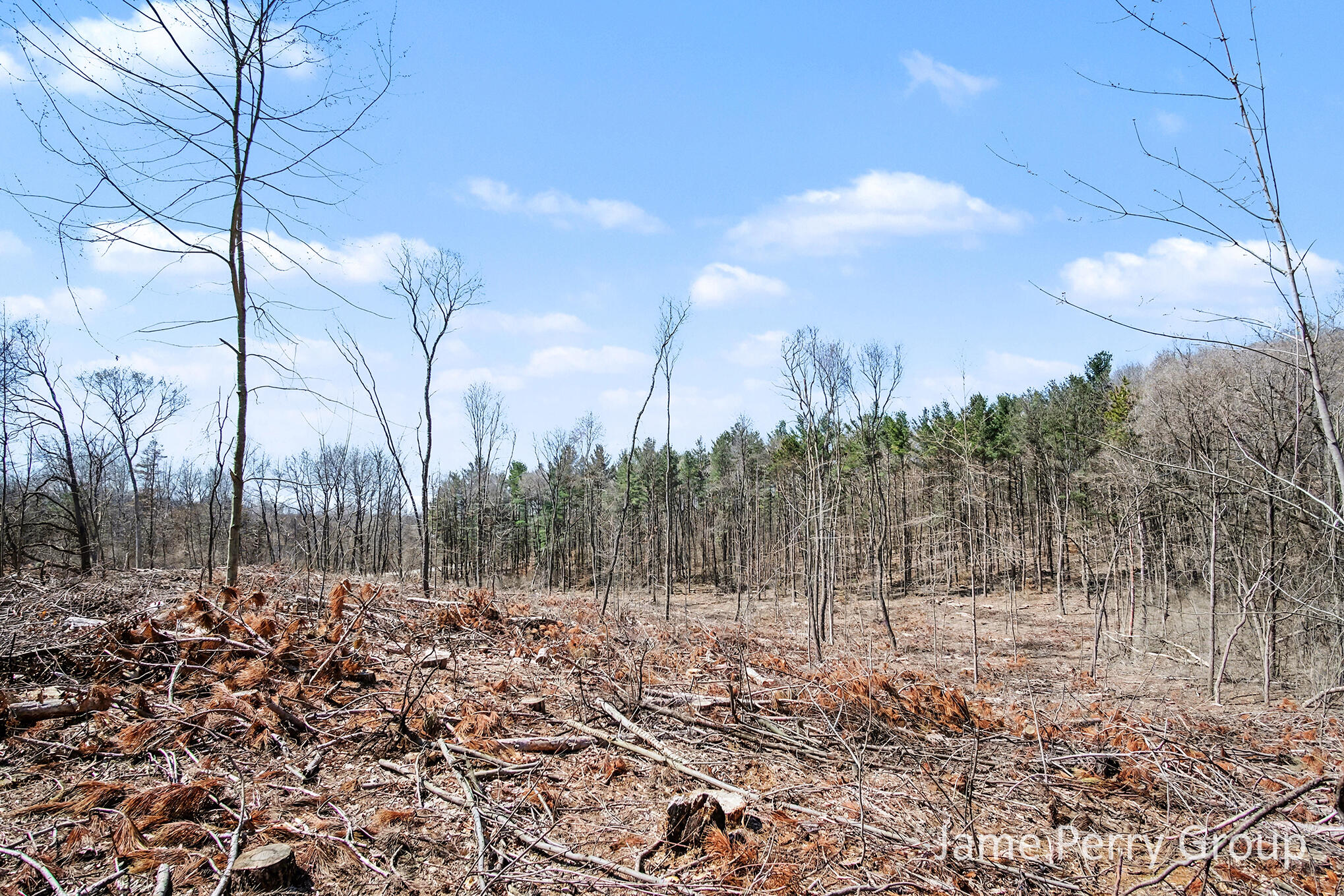 80 West Holland Lake Road Sidney, MI 48885 - Photo 16 of 22 DSCF5800