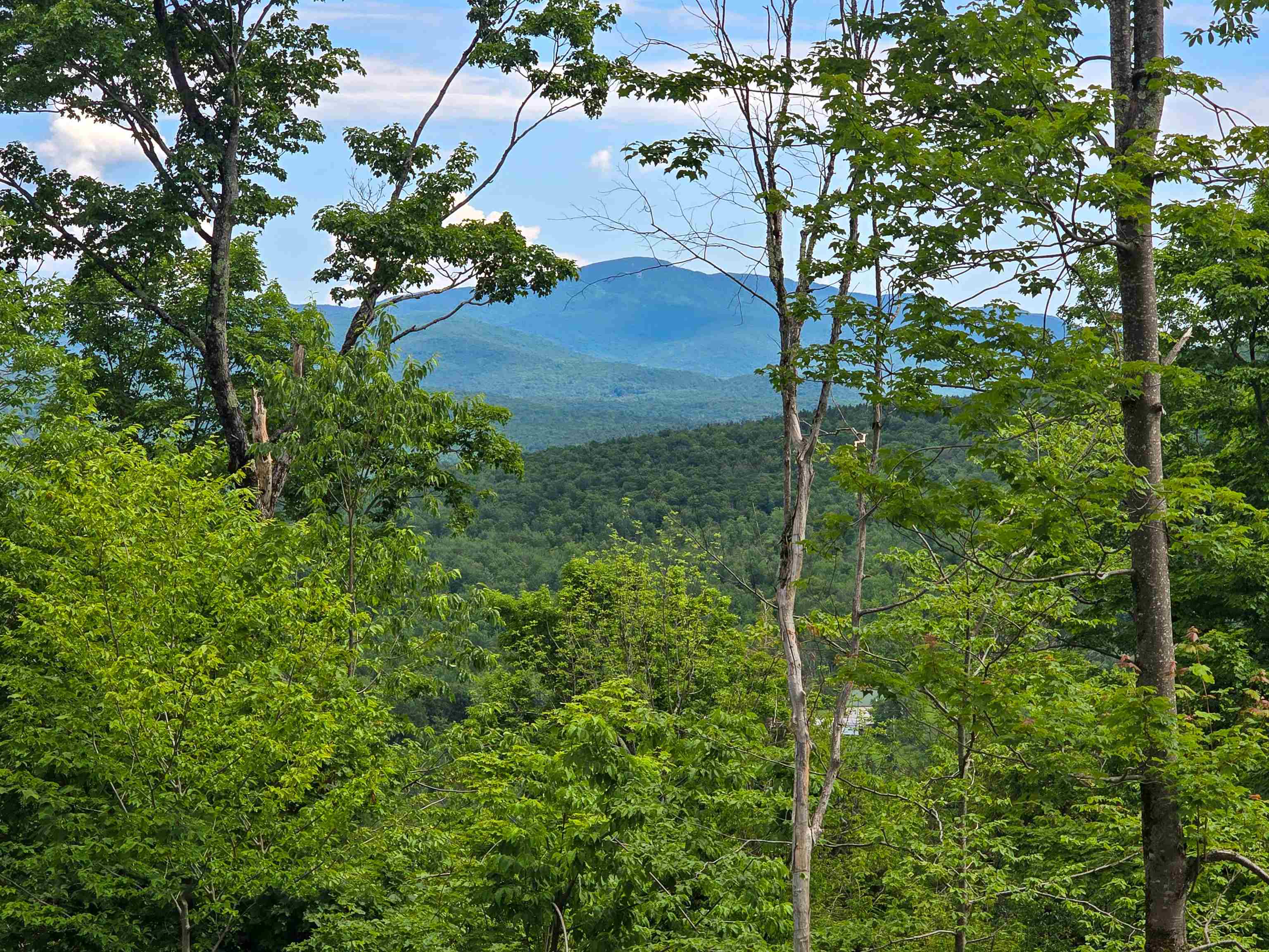 433 Wightman Hill Road Richford, VT 05476 - Photo 3 of 44