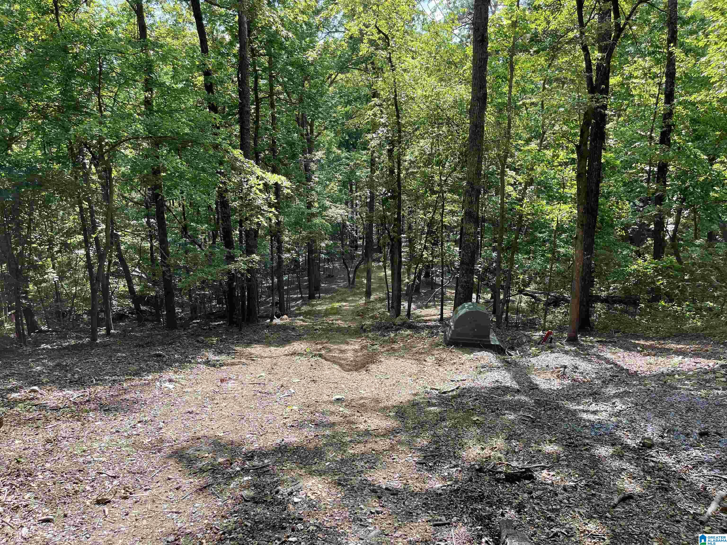 84 Rustic Drive, Unit 2 Harpersville, AL 35078 - Photo 9 of 23