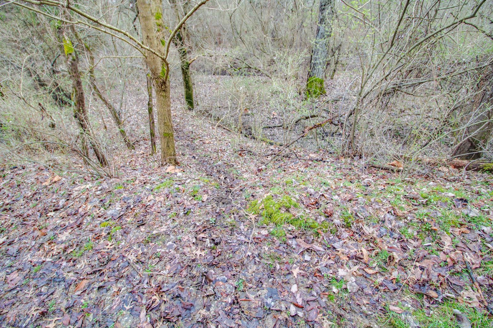 0 Rt 152 Du Quoin, IL 62832 - Photo 20 of 67 Gallery Image 20