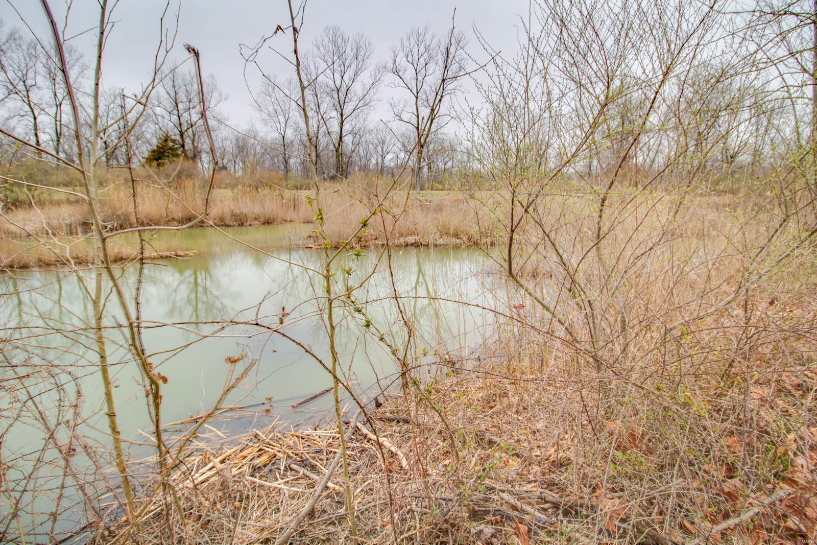 0 Rt 152 Du Quoin, IL 62832 - Photo 34 of 67 Gallery Image 34