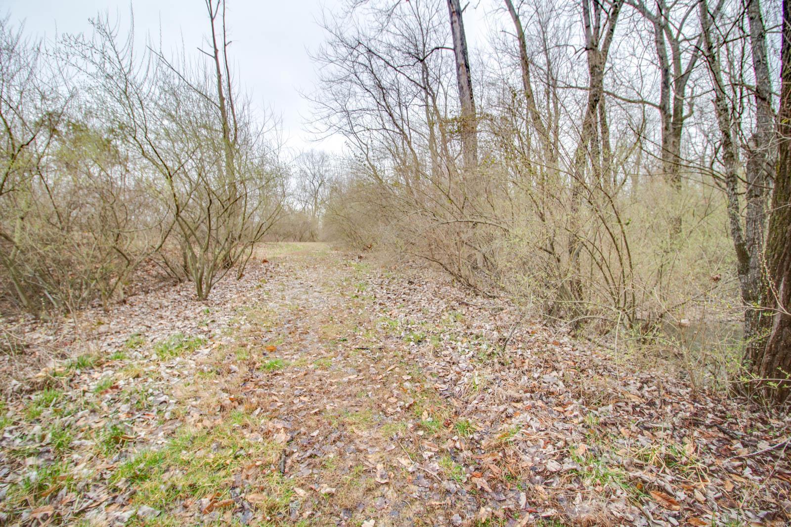 0 Rt 152 Du Quoin, IL 62832 - Photo 39 of 67 Gallery Image 39