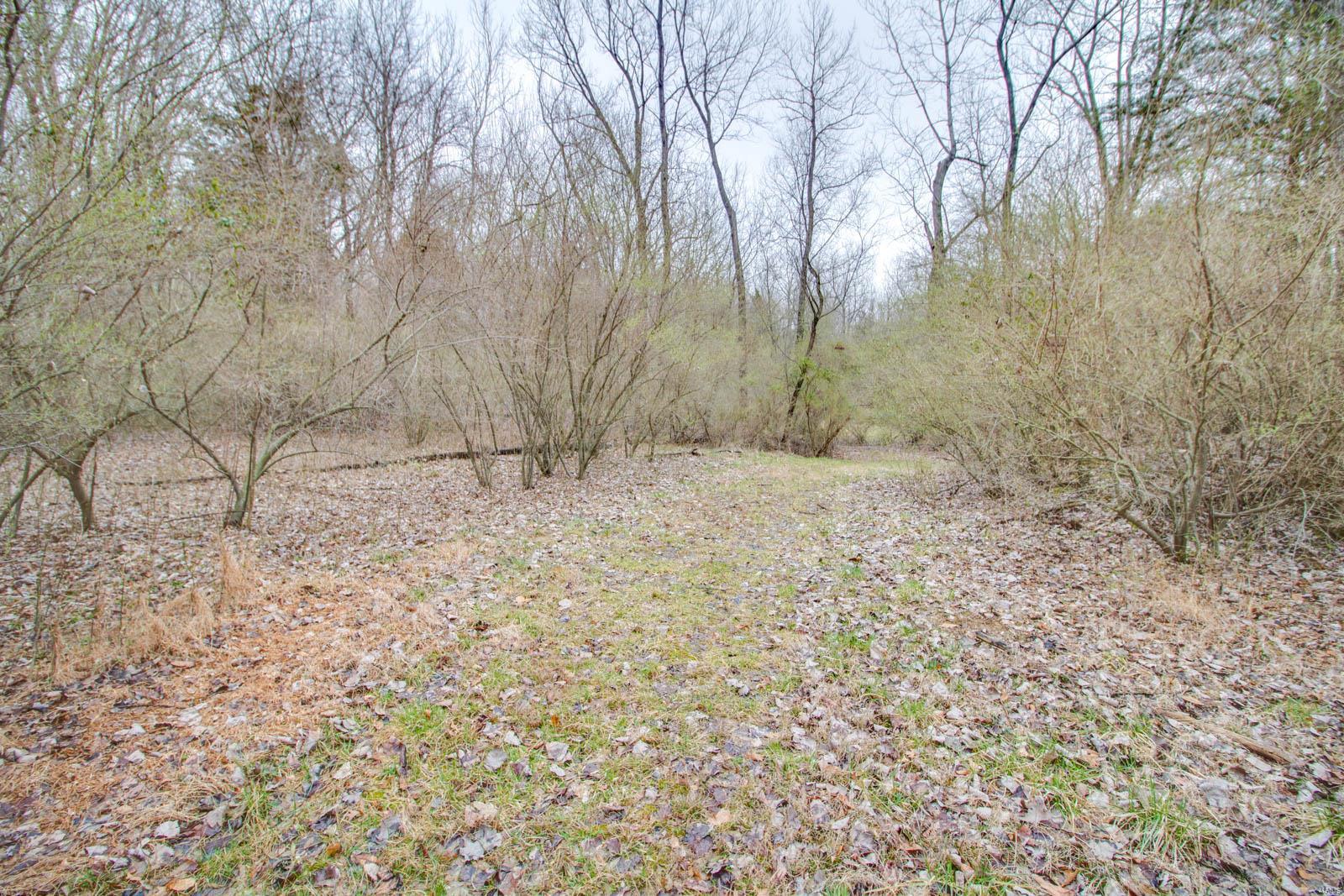 0 Rt 152 Du Quoin, IL 62832 - Photo 41 of 67 Gallery Image 41