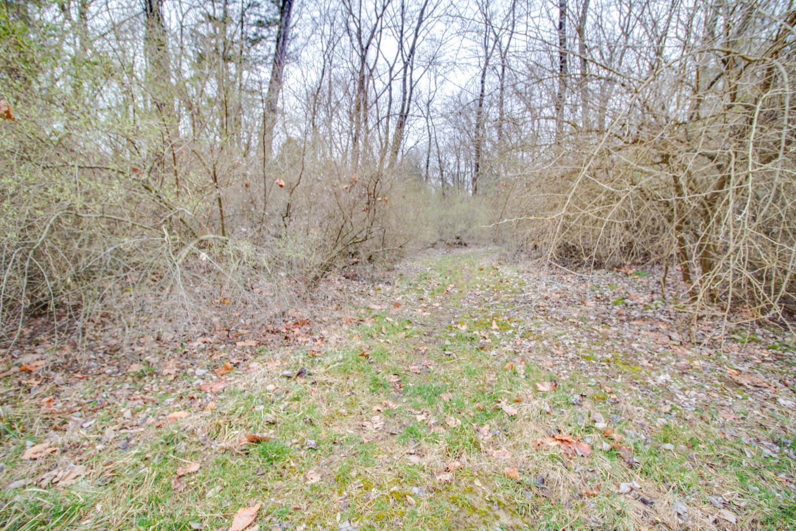 0 Rt 152 Du Quoin, IL 62832 - Photo 44 of 67 Gallery Image 44