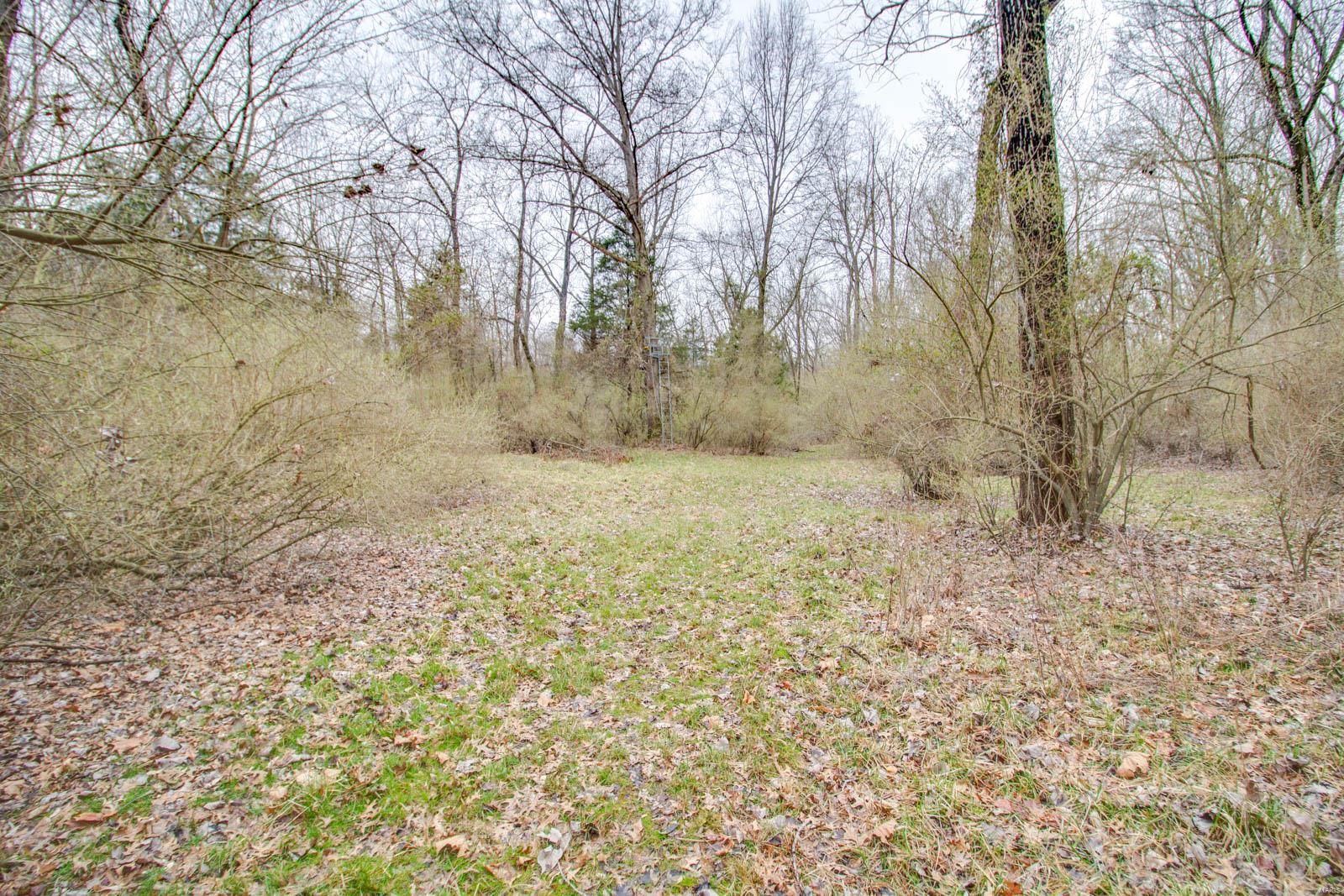 0 Rt 152 Du Quoin, IL 62832 - Photo 45 of 67 Gallery Image 45