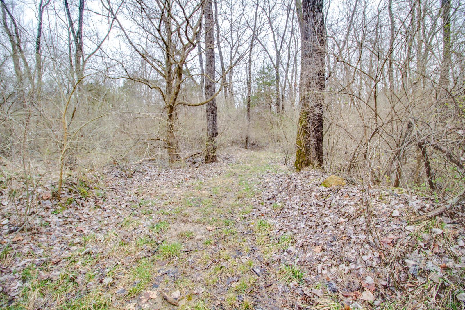 0 Rt 152 Du Quoin, IL 62832 - Photo 49 of 67 Gallery Image 49