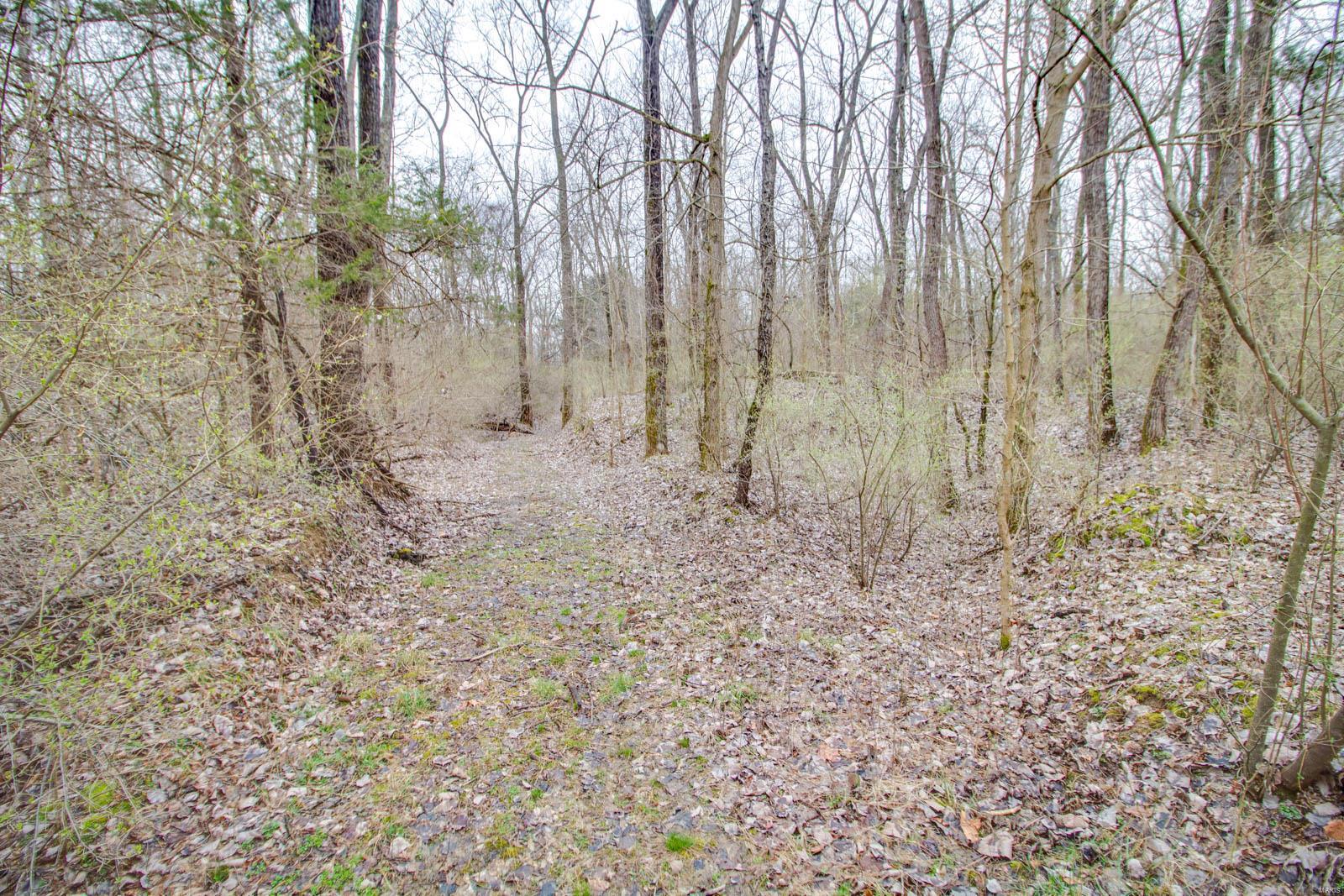 0 Rt 152 Du Quoin, IL 62832 - Photo 50 of 67 Gallery Image 50