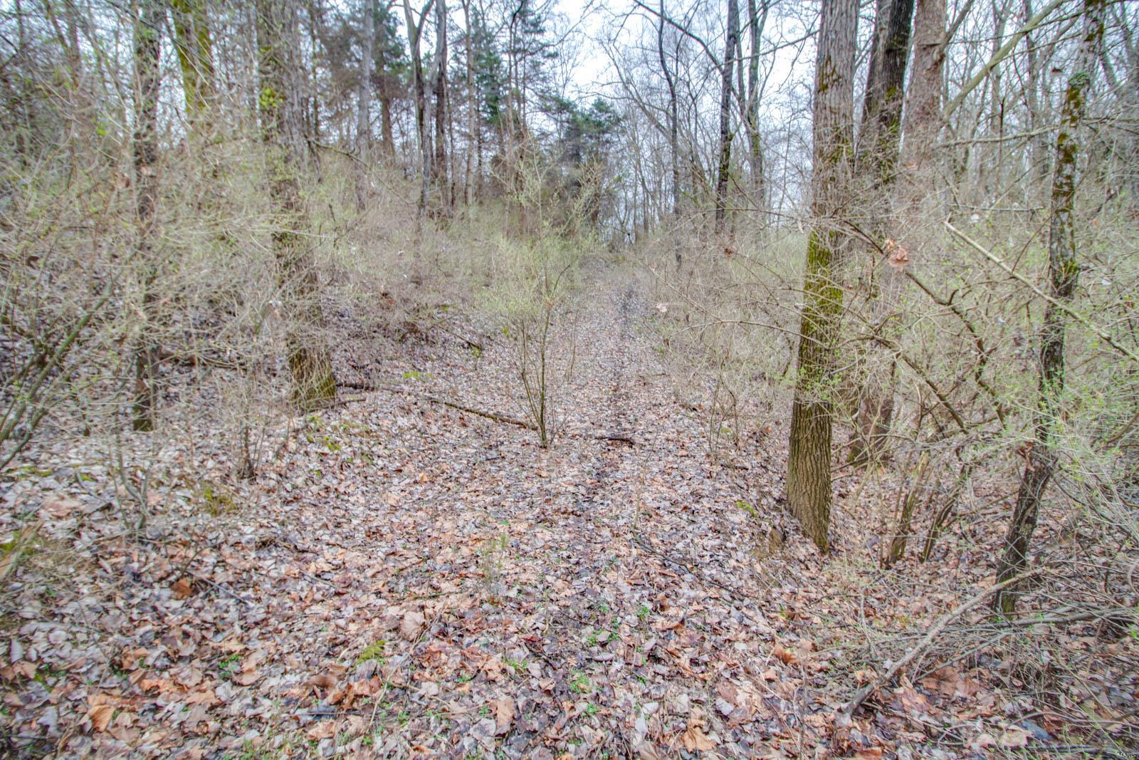 0 Rt 152 Du Quoin, IL 62832 - Photo 57 of 67 Gallery Image 57