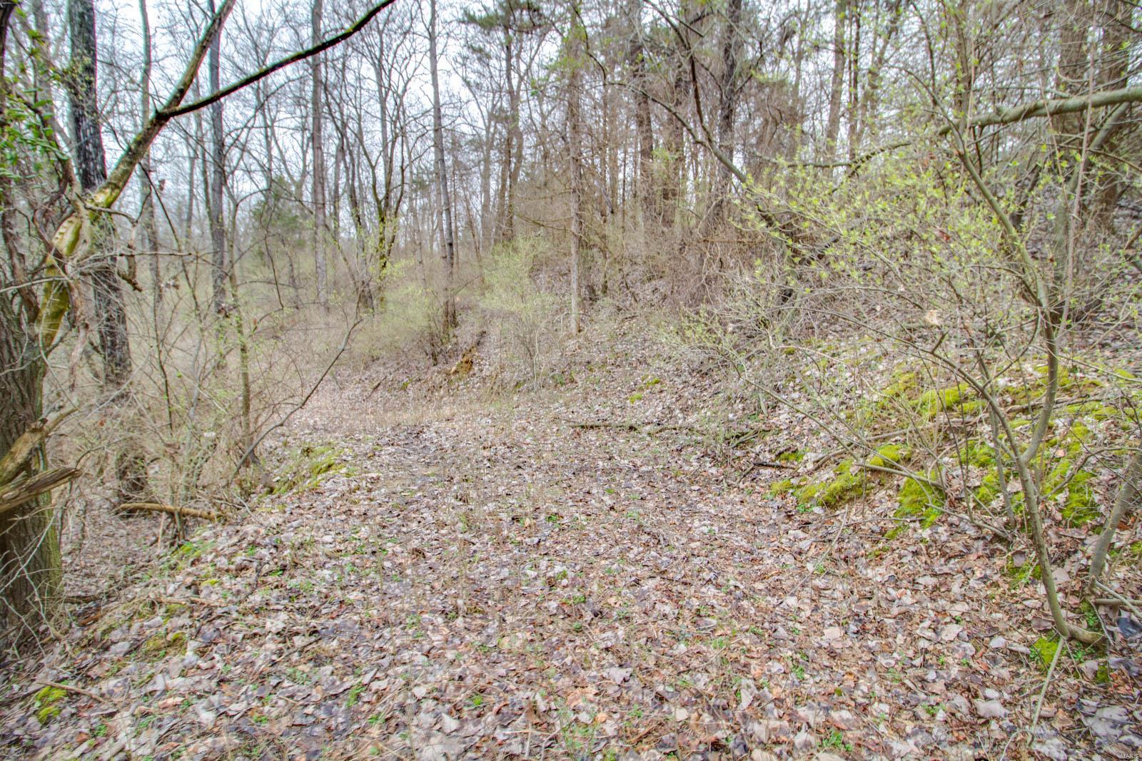 0 Rt 152 Du Quoin, IL 62832 - Photo 58 of 67 Gallery Image 58