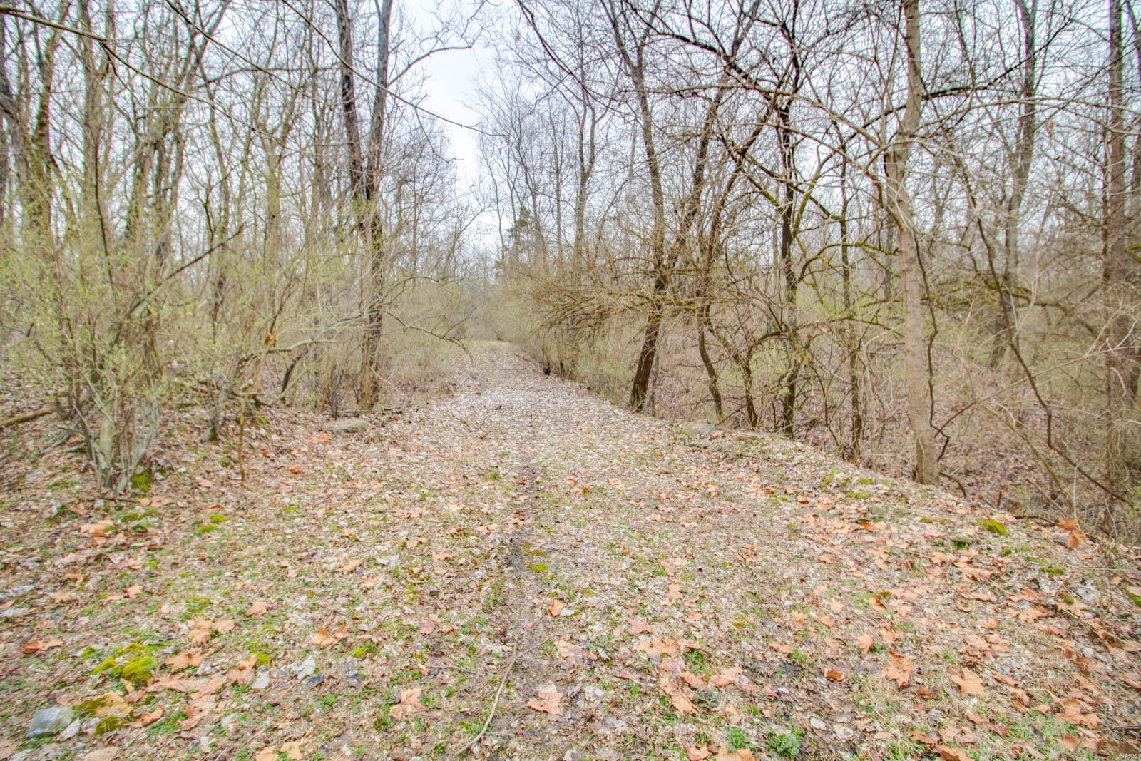 0 Rt 152 Du Quoin, IL 62832 - Photo 60 of 67 Gallery Image 60