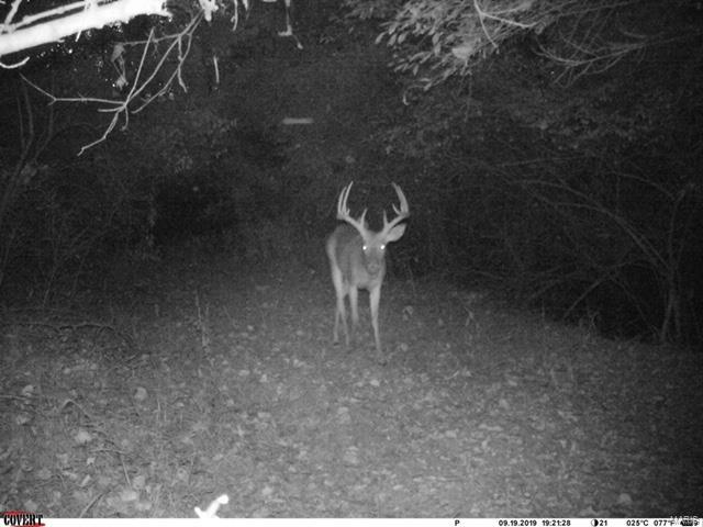 0 Rt 152 Du Quoin, IL 62832 - Photo 66 of 67 Gallery Image 66