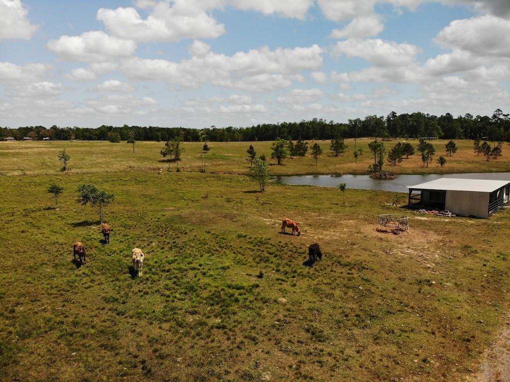 Wesley Coleman Road Longville, LA 70652 - Photo 1 of 15 Gallery Image 1