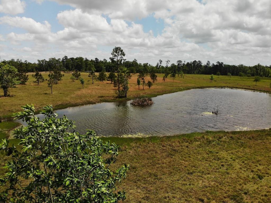 Wesley Coleman Road Longville, LA 70652 - Photo 3 of 15 Gallery Image 3