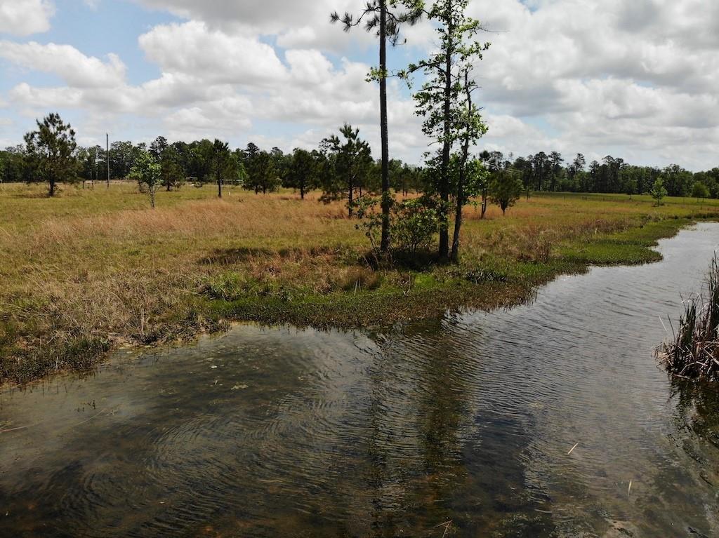 Wesley Coleman Road Longville, LA 70652 - Photo 4 of 15 Gallery Image 4