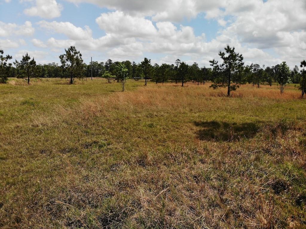 Wesley Coleman Road Longville, LA 70652 - Photo 5 of 15 Gallery Image 5