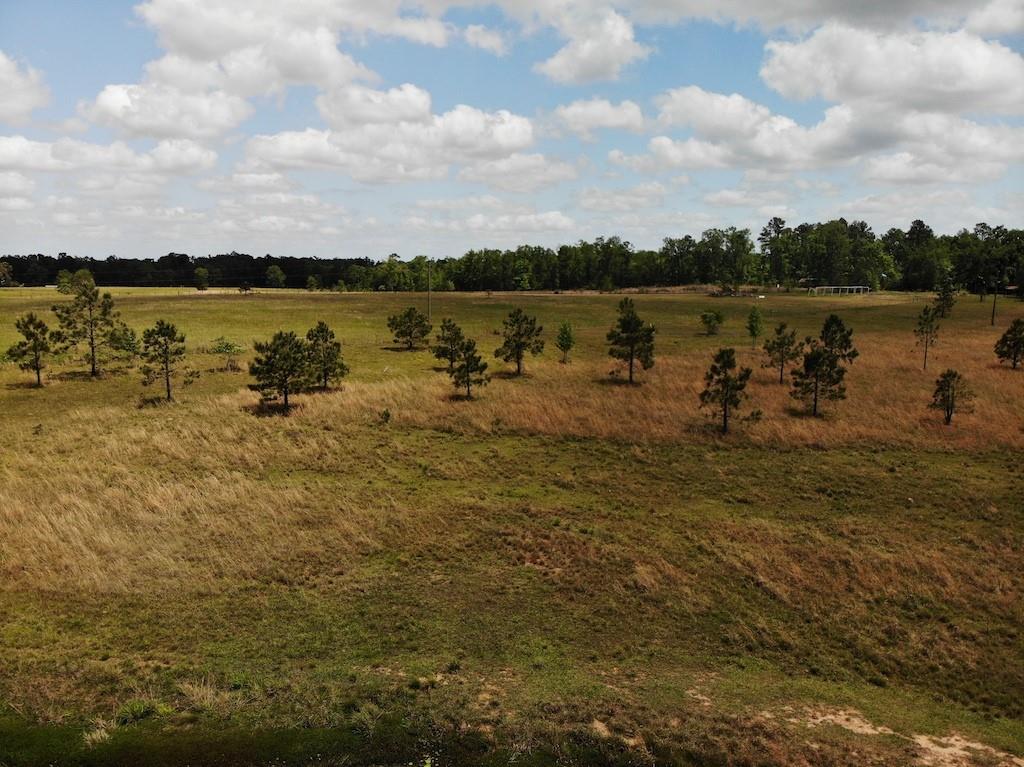 Wesley Coleman Road Longville, LA 70652 - Photo 8 of 15 Gallery Image 8