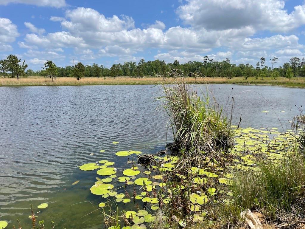Wesley Coleman Road Longville, LA 70652 - Photo 10 of 15 Gallery Image 10