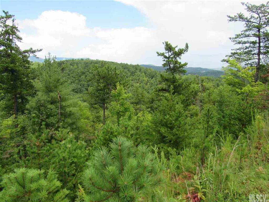 Lot 107 Nightshade Road, Unit 107 Boone, NC 28607 - Photo 11 of 12 Gallery Image 11