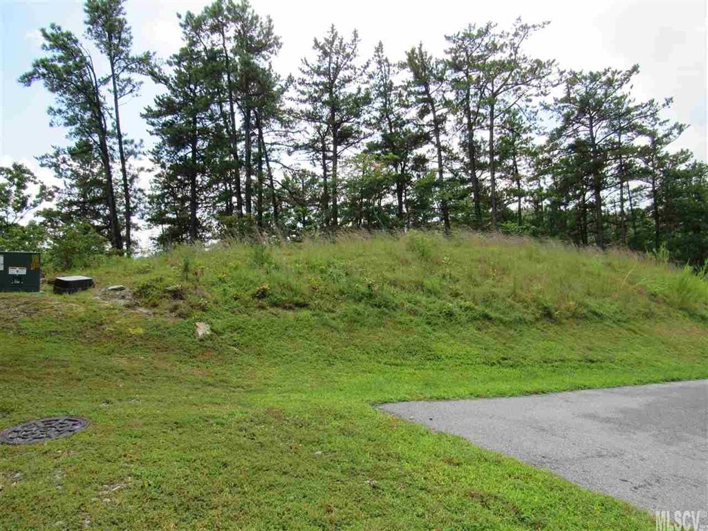 Lot 107 Nightshade Road, Unit 107 Boone, NC 28607 - Photo 12 of 12 Gallery Image 12