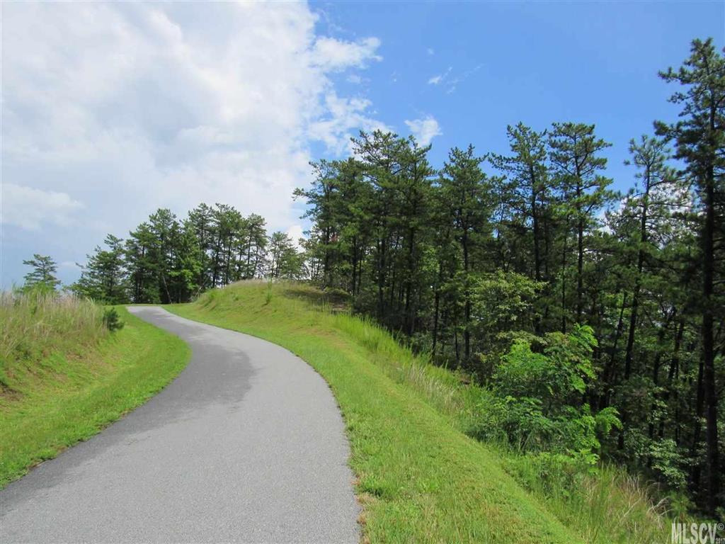 Lot 107 Nightshade Road, Unit 107 Boone, NC 28607 - Photo 3 of 12 Gallery Image 3