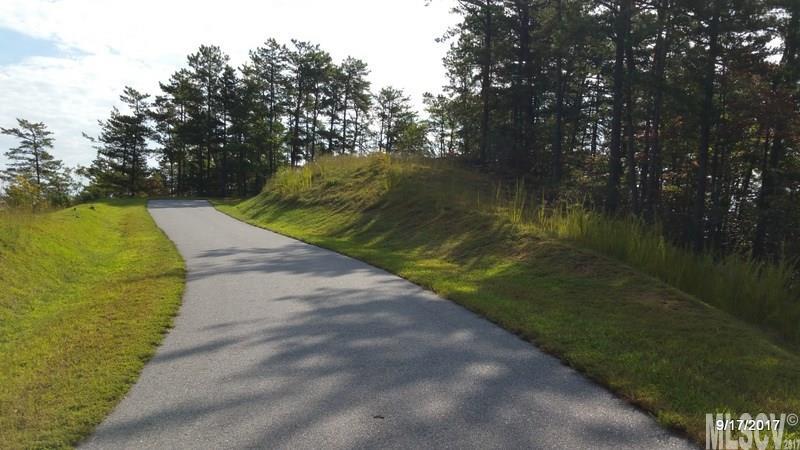 Lot 107 Nightshade Road, Unit 107 Boone, NC 28607 - Photo 4 of 12 Gallery Image 4