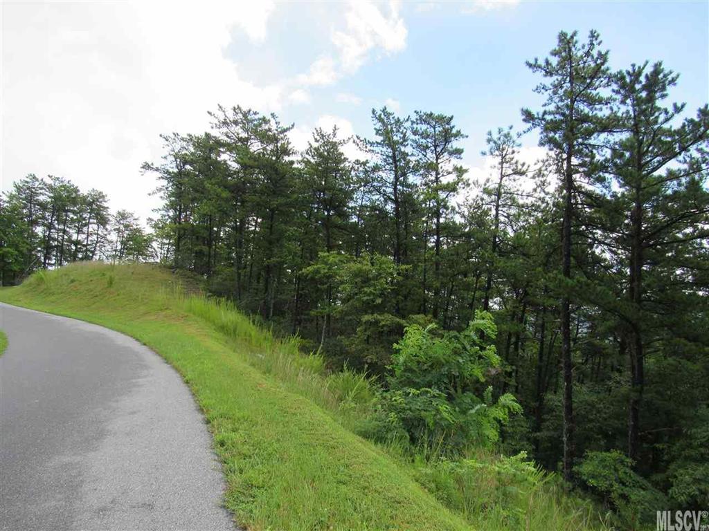 Lot 107 Nightshade Road, Unit 107 Boone, NC 28607 - Photo 10 of 12 Gallery Image 10