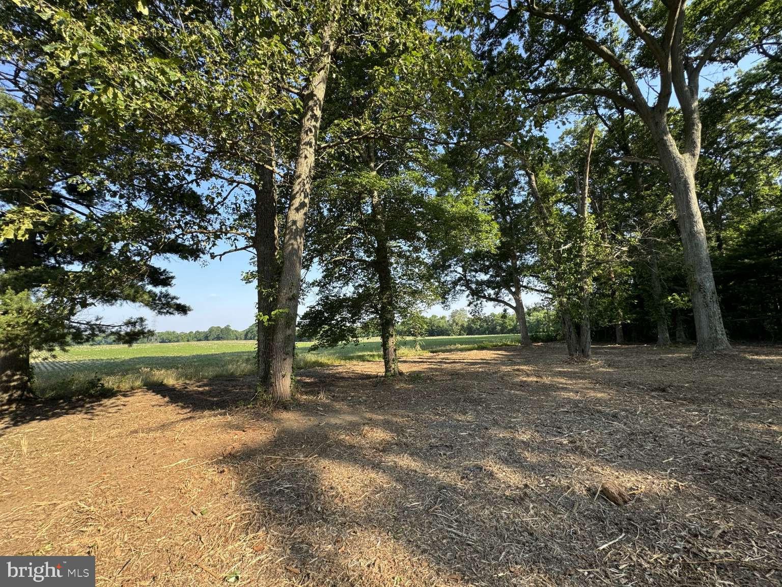 22 Nutt Lane Mullica Hill, NJ 08062 - Photo 7 of 16