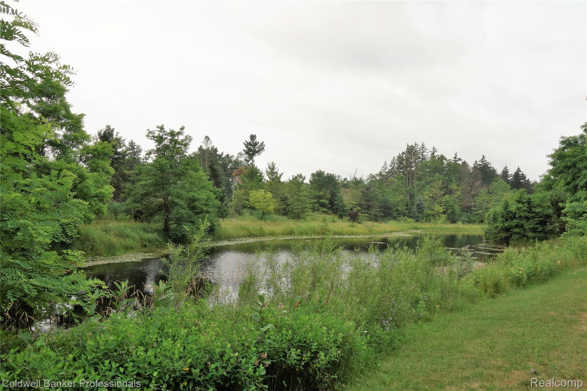 7755 Holcomb Road Clarkston, MI 48348 - Photo 28 of 51 1 of 3 spring fed Trout ponds