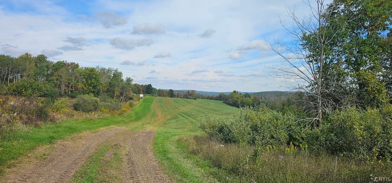Learn Road Cameron Mills, NY 14820 - Photo 32 of 40 Gallery Image 32