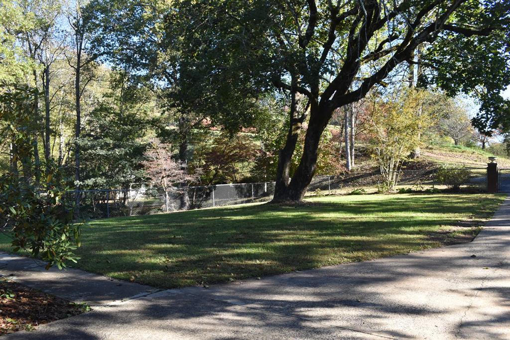 959 Pleasant Valley Road Murphy, NC 28906 - Photo 3 of 18 a view of a park