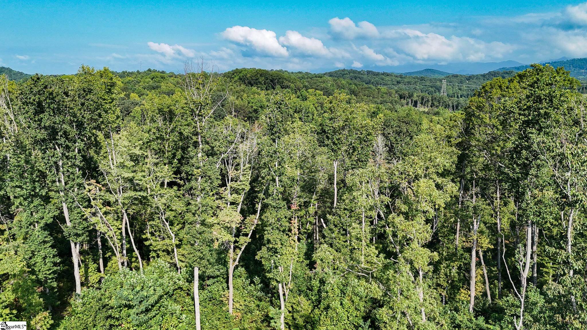 500 Chinquapin Road Travelers Rest, SC 29690 - Photo 11 of 27