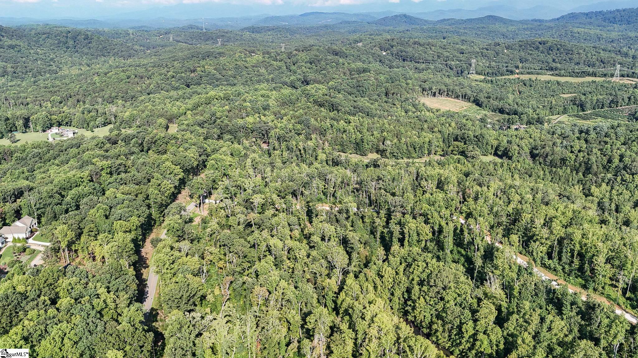 500 Chinquapin Road Travelers Rest, SC 29690 - Photo 12 of 27