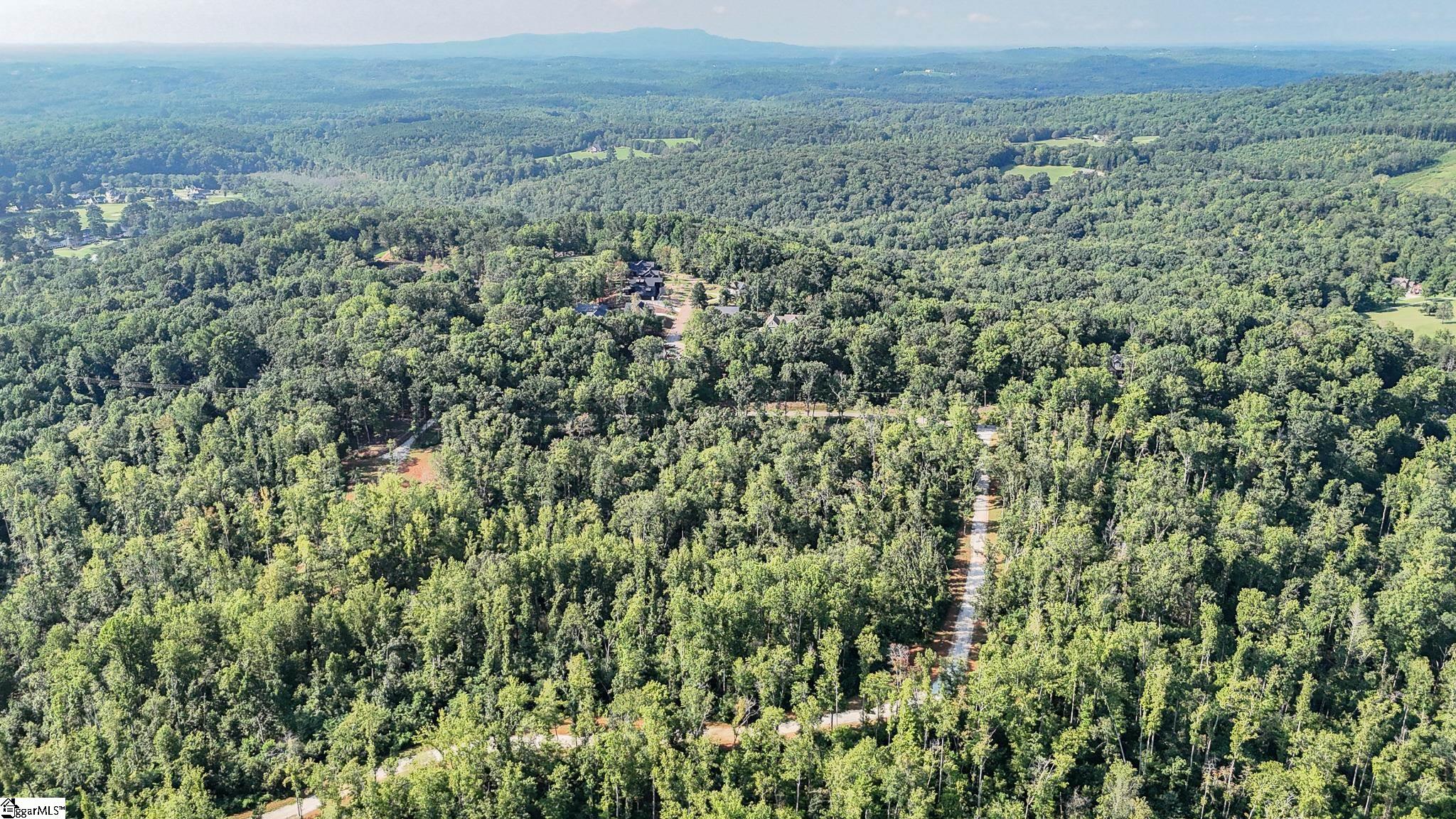 500 Chinquapin Road Travelers Rest, SC 29690 - Photo 17 of 27