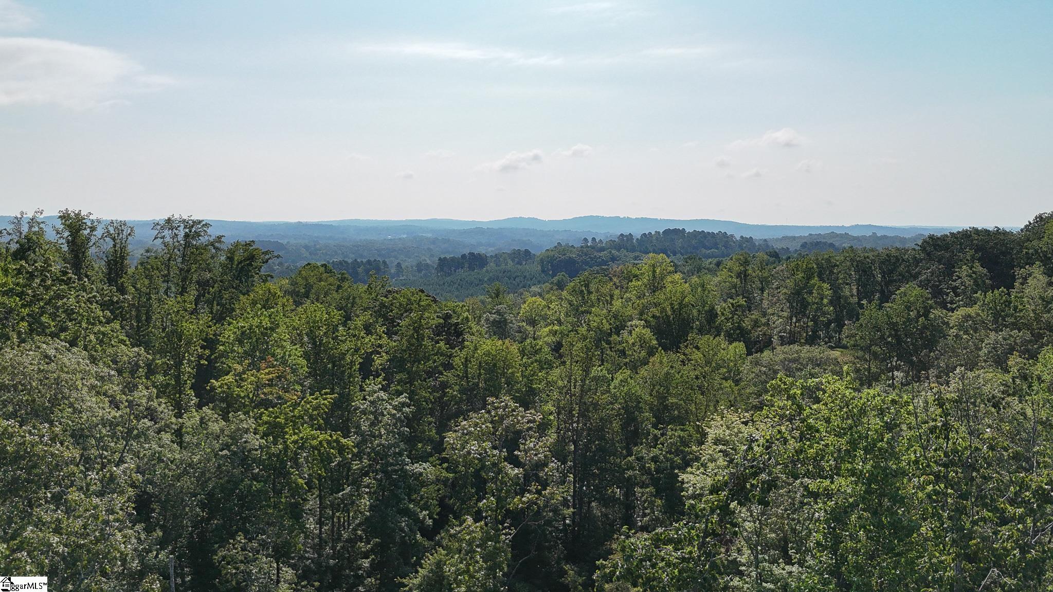 500 Chinquapin Road Travelers Rest, SC 29690 - Photo 18 of 27