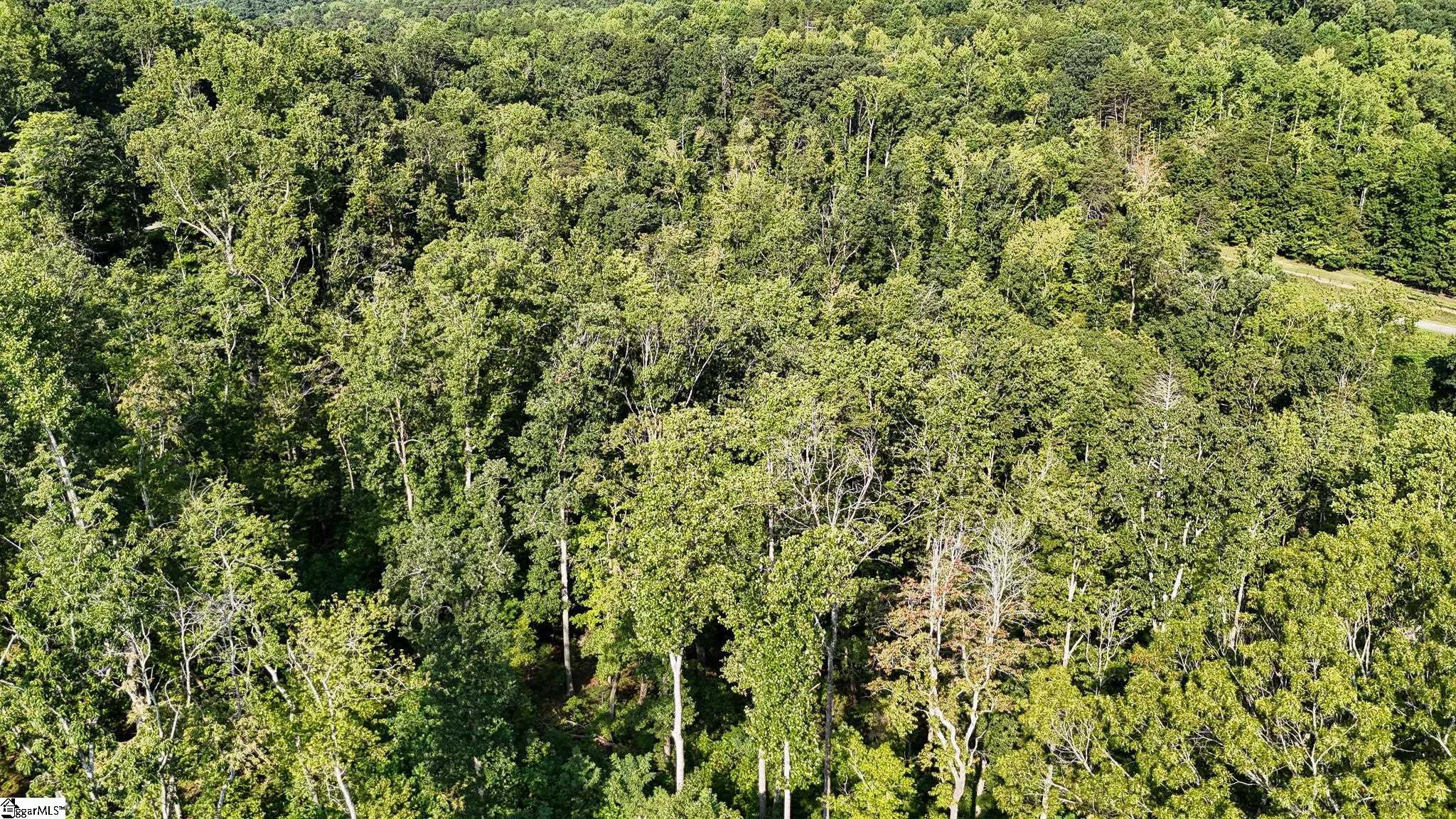 500 Chinquapin Road Travelers Rest, SC 29690 - Photo 19 of 27