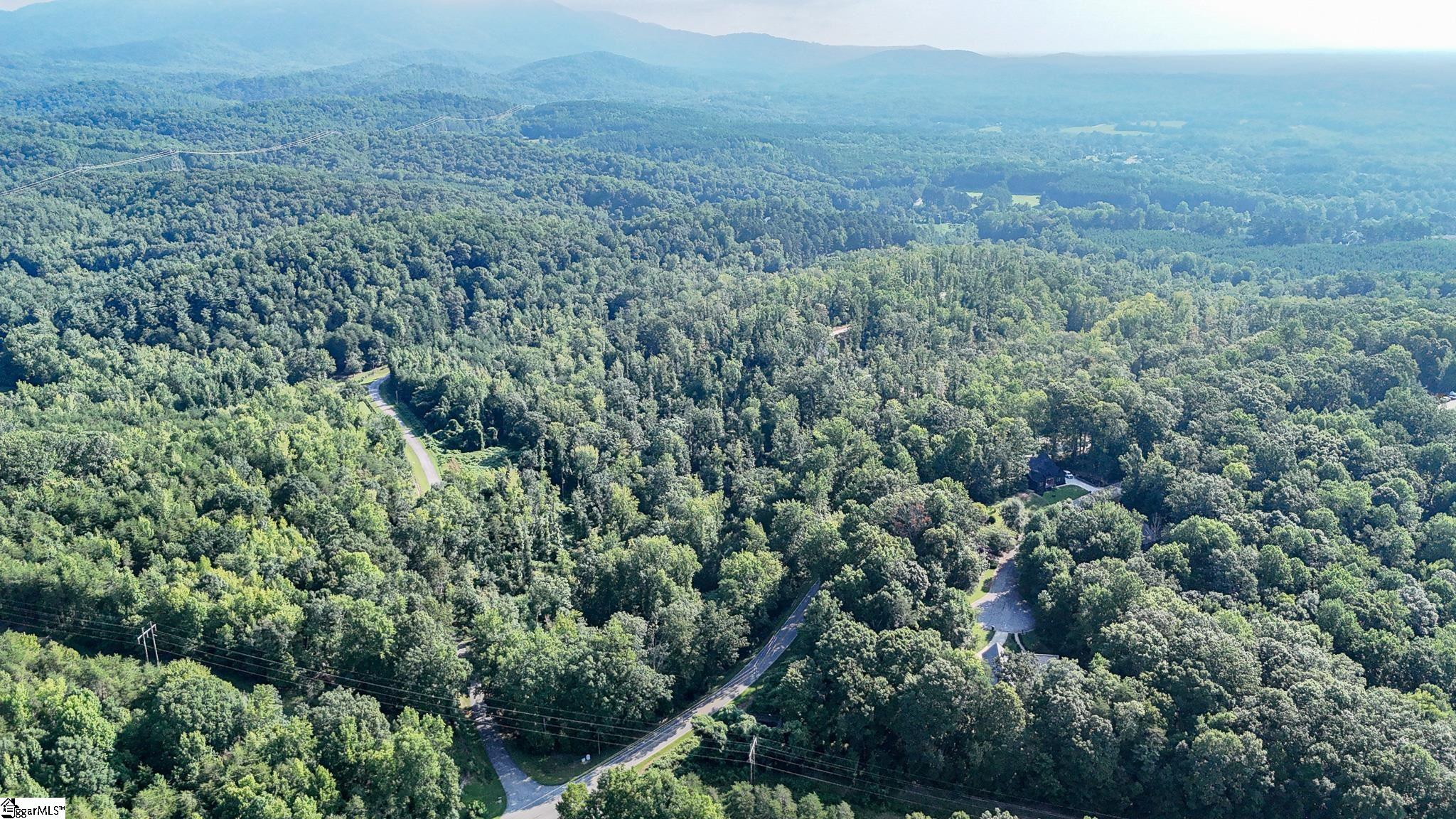 500 Chinquapin Road Travelers Rest, SC 29690 - Photo 20 of 27