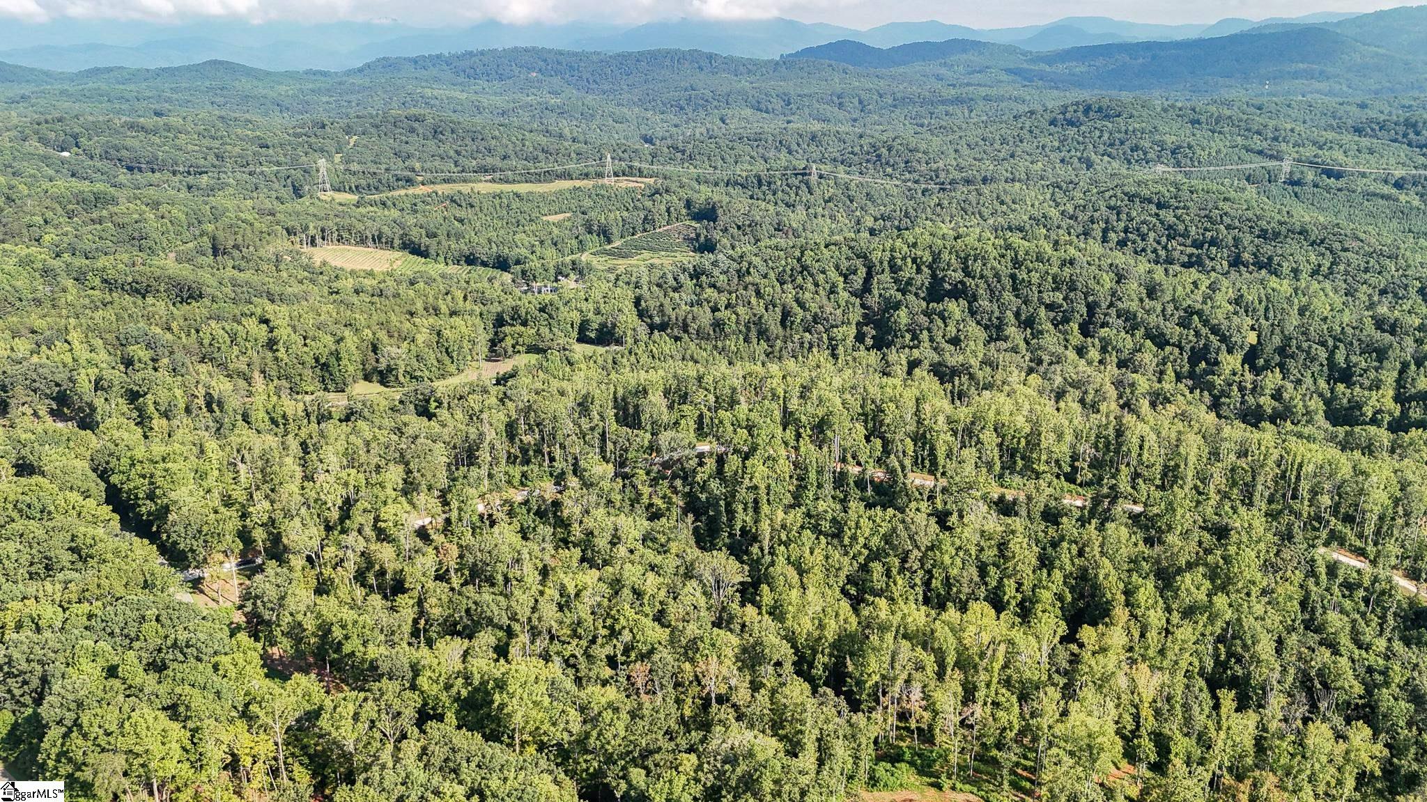 500 Chinquapin Road Travelers Rest, SC 29690 - Photo 21 of 27