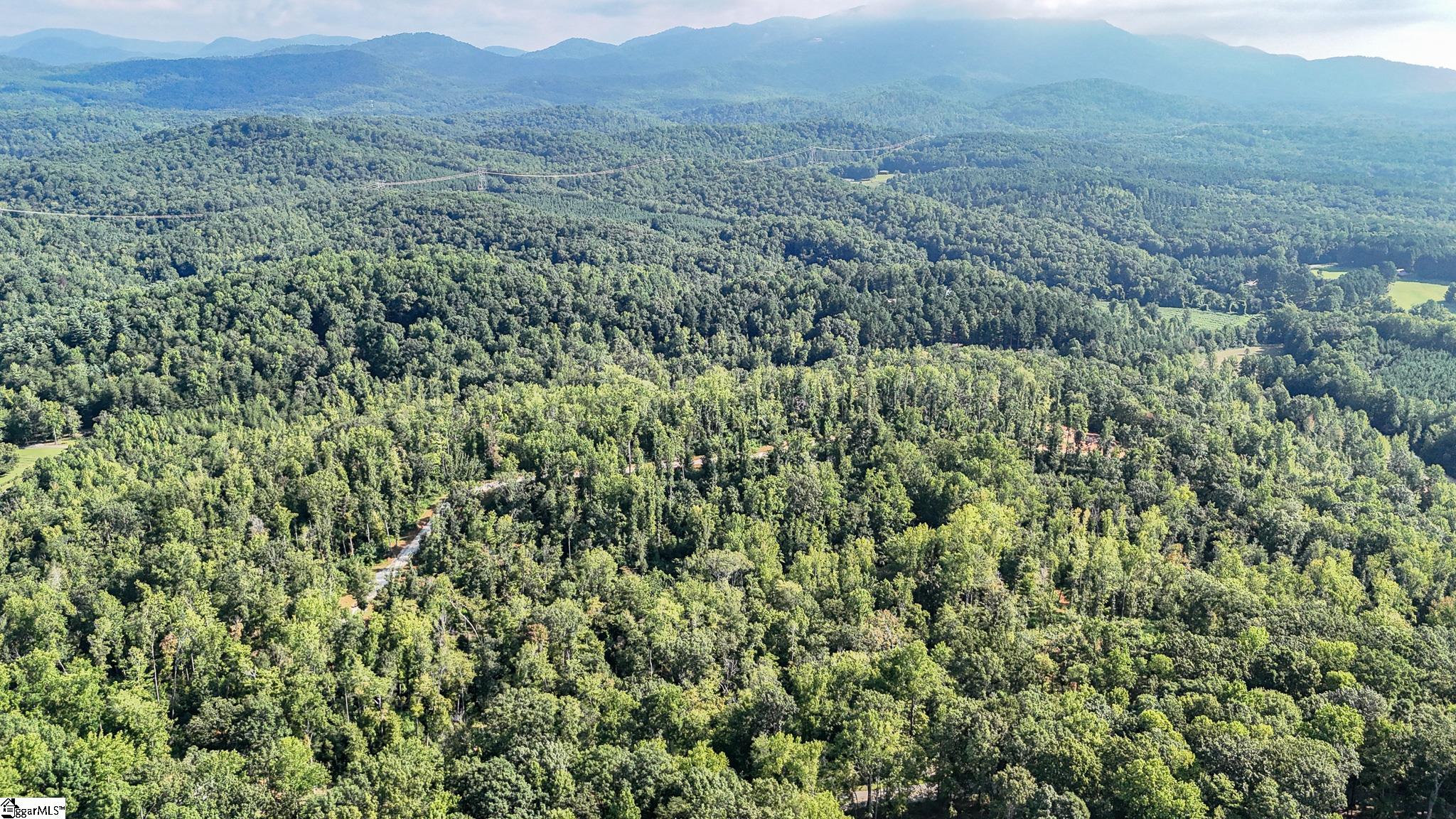 500 Chinquapin Road Travelers Rest, SC 29690 - Photo 23 of 27