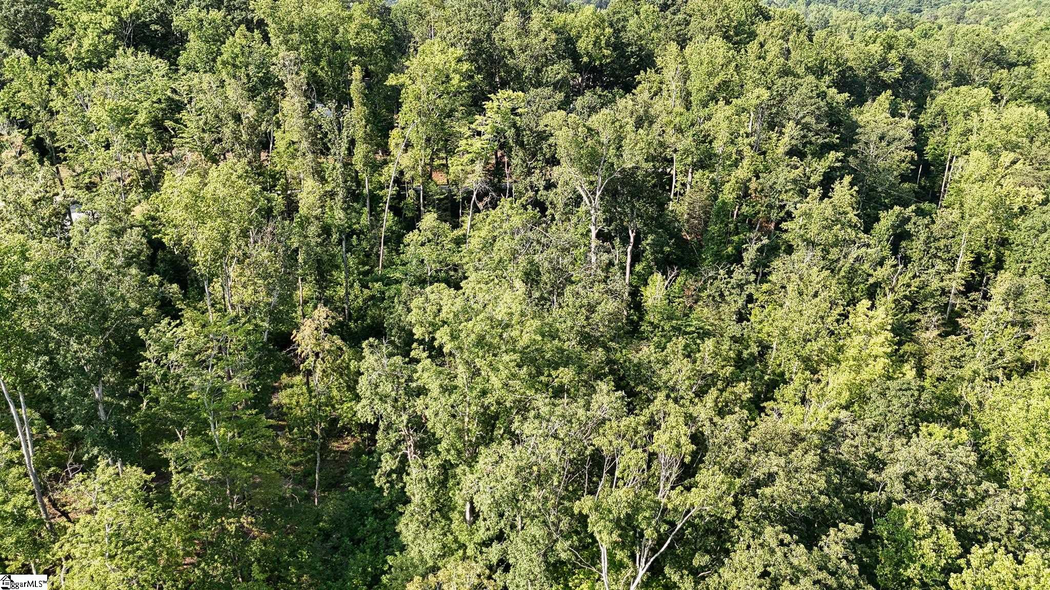 500 Chinquapin Road Travelers Rest, SC 29690 - Photo 25 of 27