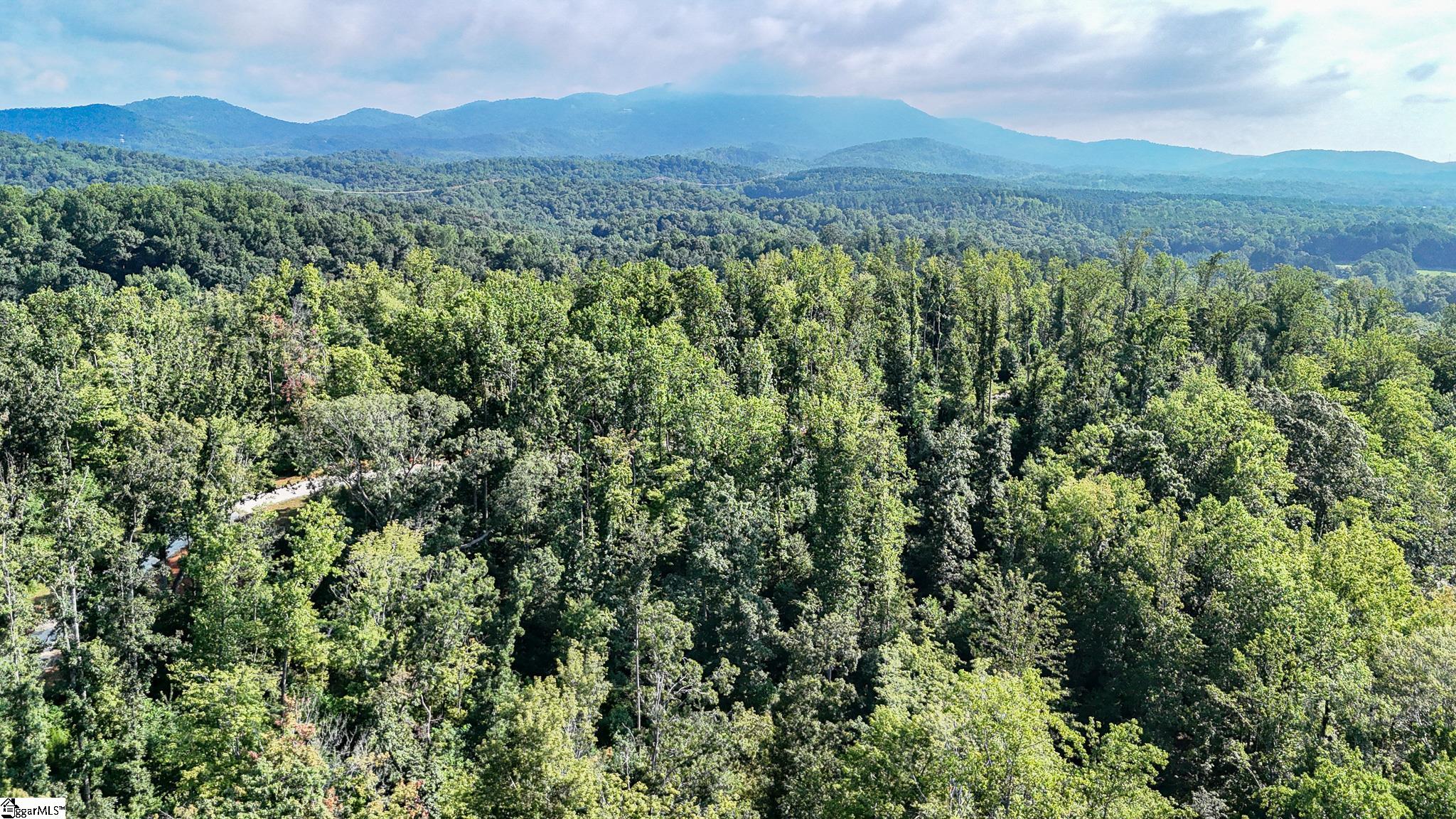 500 Chinquapin Road Travelers Rest, SC 29690 - Photo 5 of 27