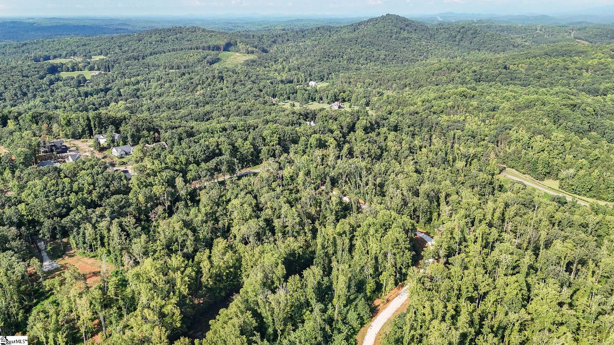 500 Chinquapin Road Travelers Rest, SC 29690 - Photo 9 of 27