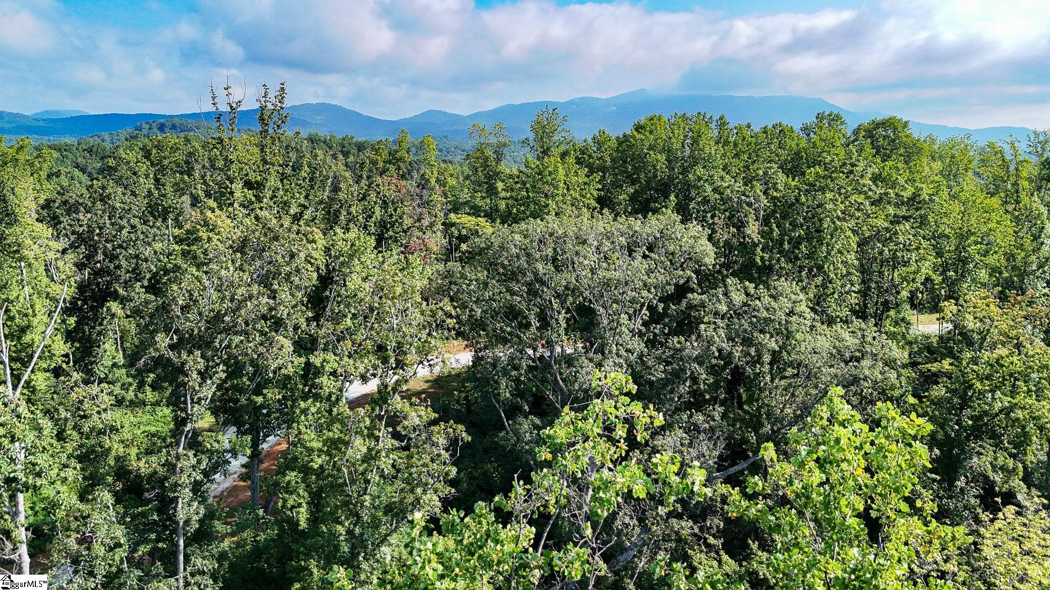 500 Chinquapin Road Travelers Rest, SC 29690 - Photo 10 of 27