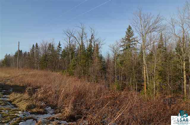 40-acres East Lindgren Road Maple, WI 54854 - Photo 10 of 23 Gallery Image 10
