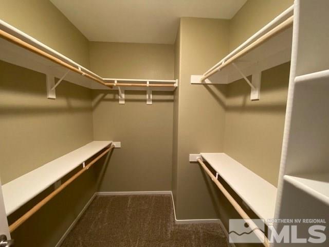 18020 Hazelnut Drive Reno, NV 89508 - Photo 10 of 19 a view of an empty walk in closet