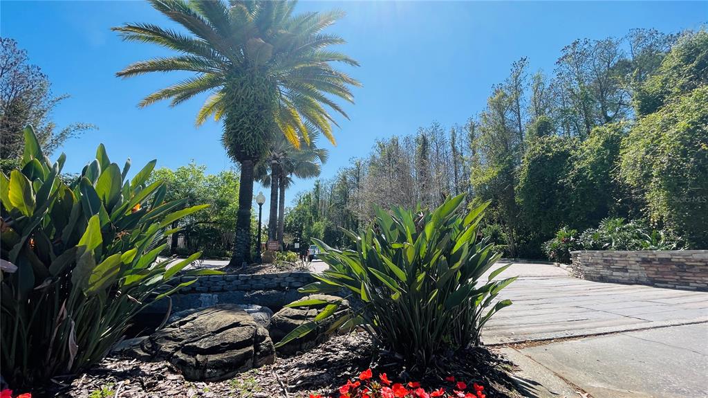 5128 Conroy Road, Unit 13 Orlando, FL 32811 - Photo 21 of 25 a picture of plants