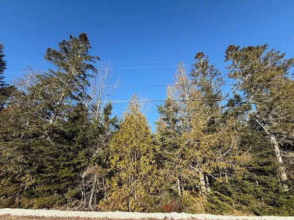 $37,500 | Lot 31 Gin Cove Road, Perry, ME 04667